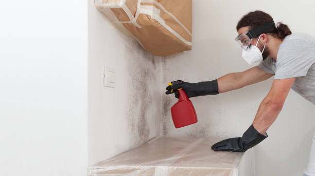 Professional Basement Mold Removal technician working in Watertown, MN